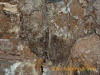 schadenmanagement_035