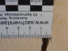 schadenmanagement_174