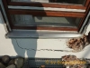 schadenmanagement_188_0